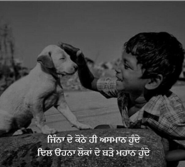 Couple Punjabi Shayari Couple Punjabi Shayari