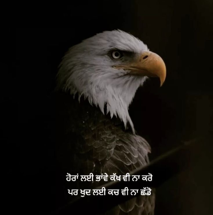 Sad Punjabi Shayari Sad Punjabi Shayari